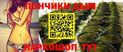 прущая мука Кингисепп