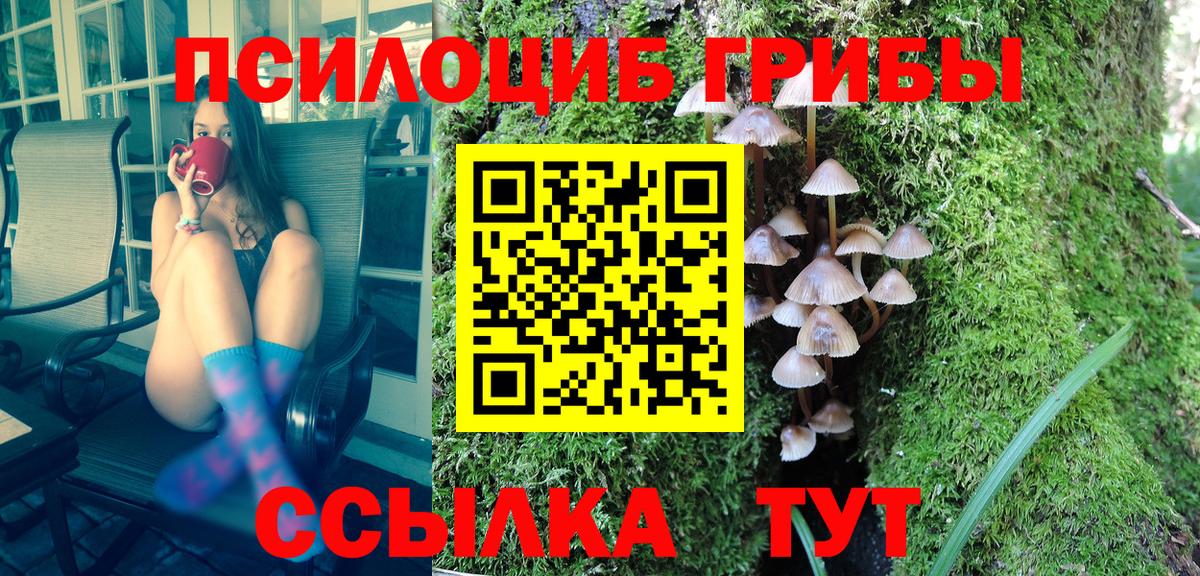 Псилоцибиновые грибы MAGIC MUSHROOMS  Псилоцибиновые грибы Cubensis  Вход с VPN  купить закладку  Кулебаки 