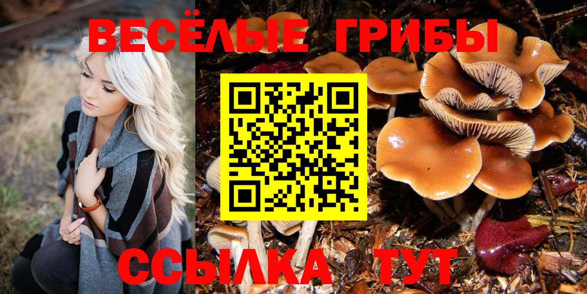 Галлюциногенные грибы мухоморы Кулебаки